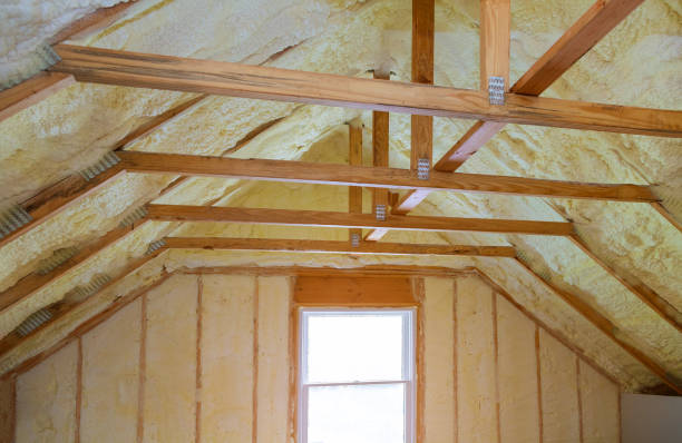 Best Eco-Friendly Insulation in Tabor City, NC