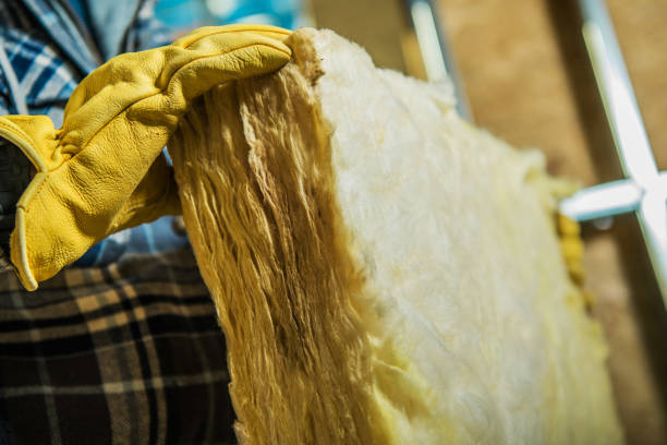 Best Geographic-Specific Insulation Services in Tabor City, NC
